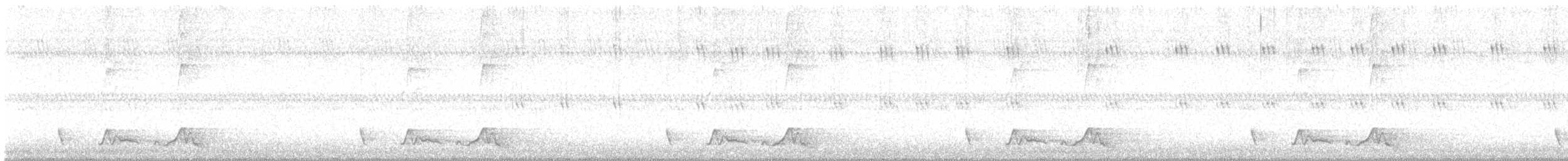 Carolinanachtschwalbe - ML619914362