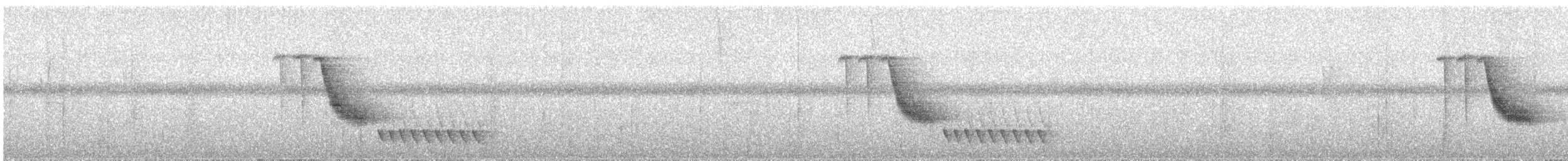 Troglodyte à poitrine blanche - ML619914895