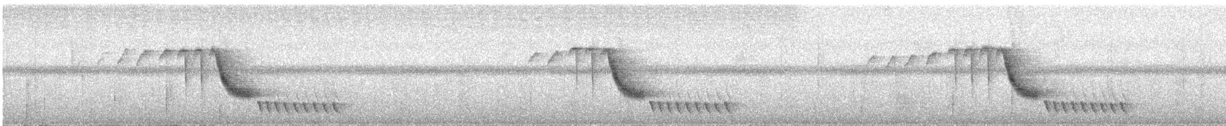 Troglodyte à poitrine blanche - ML619914896
