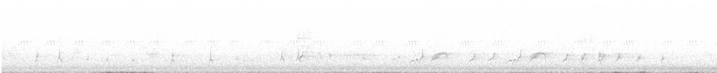 Northern Mockingbird - ML619915714