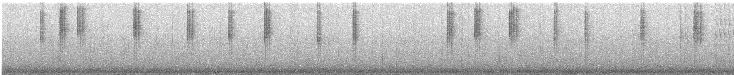 Черноухий колибри - ML619915970