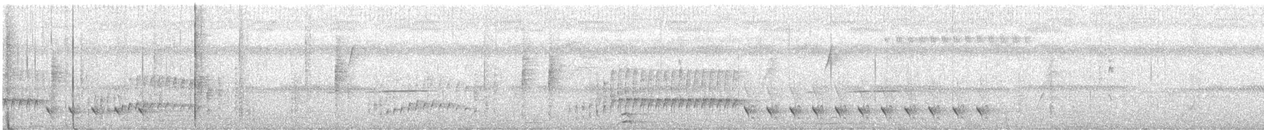 Microbate babillard - ML619916494