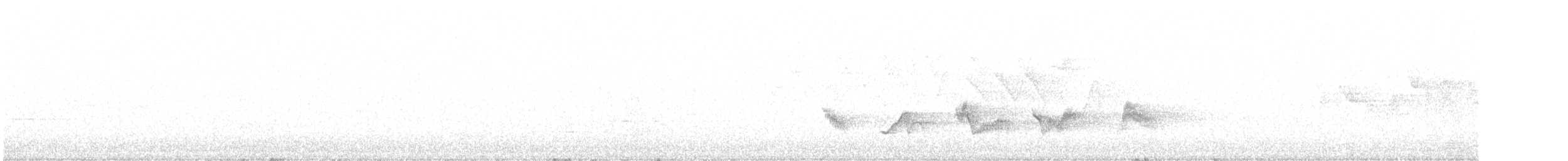 Piranga écarlate - ML619916523