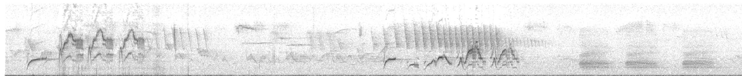Дрізд-короткодзьоб Cвенсона - ML619916880