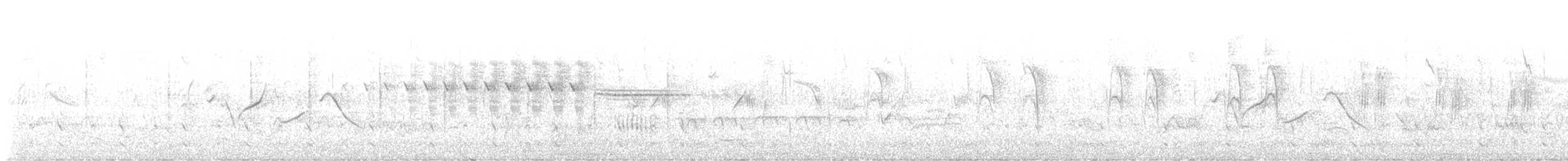 חרטומית ביצות - ML619917218