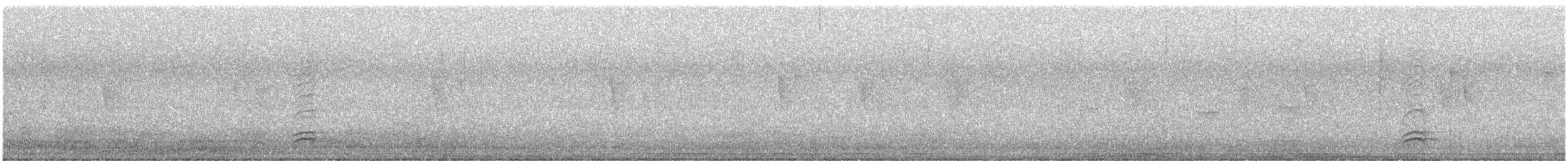 White-necked Thrush - ML619917637
