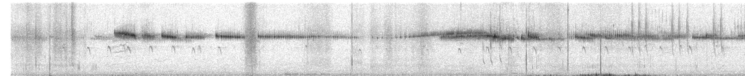 Широкохвостый колибри - ML619918358