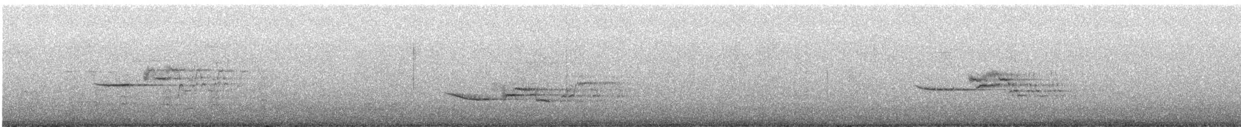 Дрізд-короткодзьоб плямистоволий - ML619918434