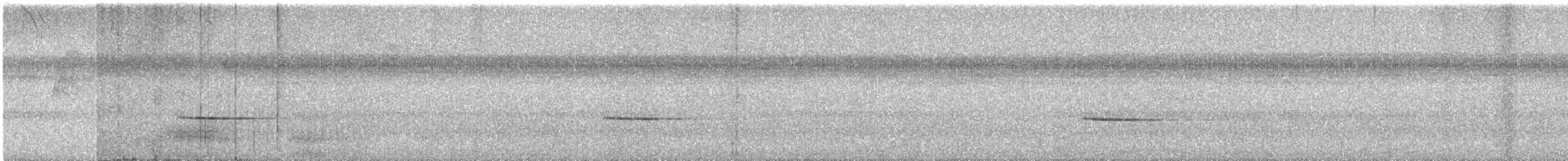 Troglodyte siffleur - ML619918966