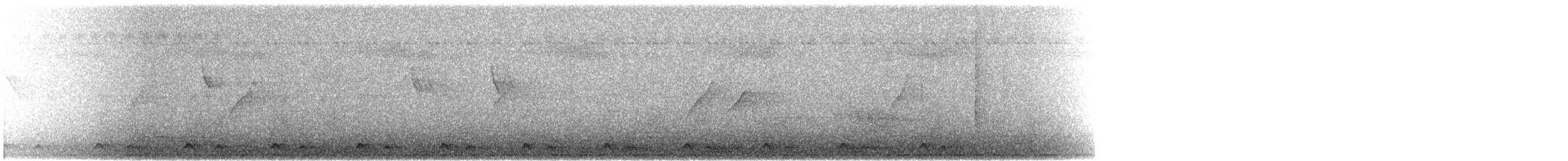 Chevêchette cuculoïde - ML619924240