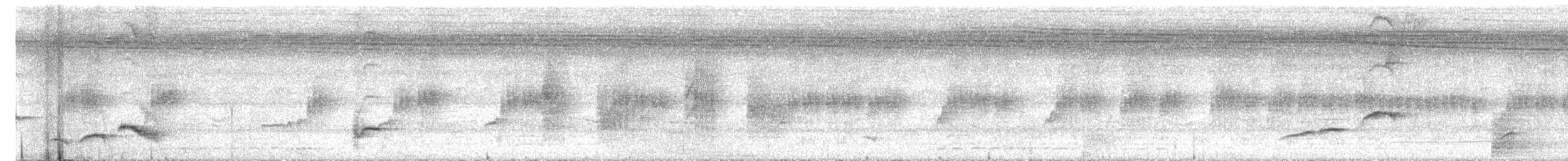 Shama à croupion blanc (groupe malabaricus) - ML619924520
