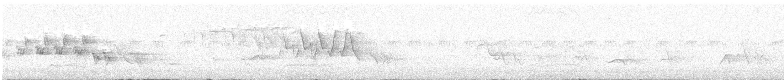 Черногорлая хвойница - ML619926018