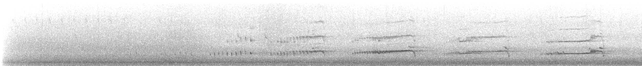 Yellow-eyed Penguin - ML619926957