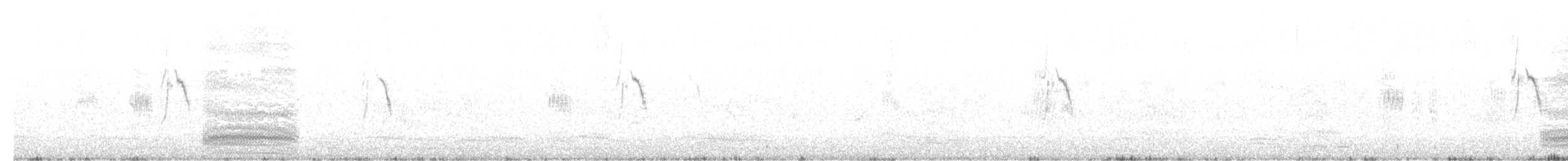 Western Yellow Wagtail - ML619927346