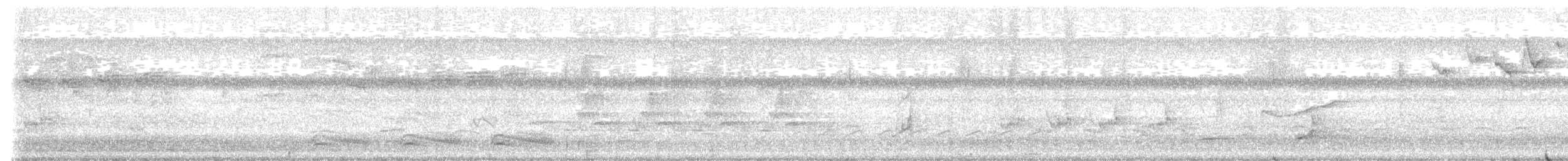 Northern Bobwhite - ML619928765