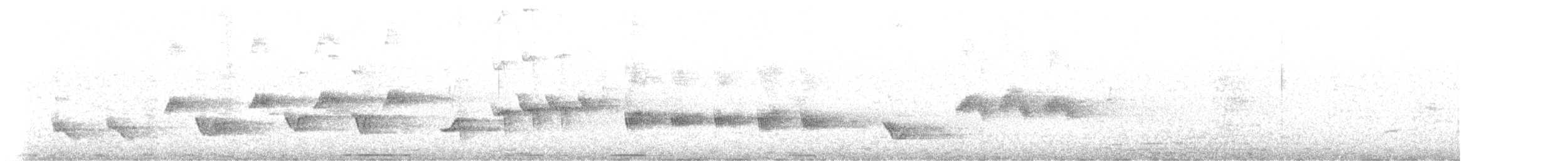 Chalk-browed Mockingbird - ML619928856