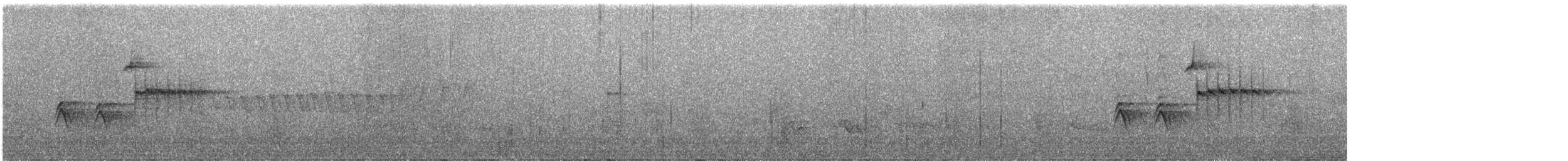 Тауї плямистий - ML619929590