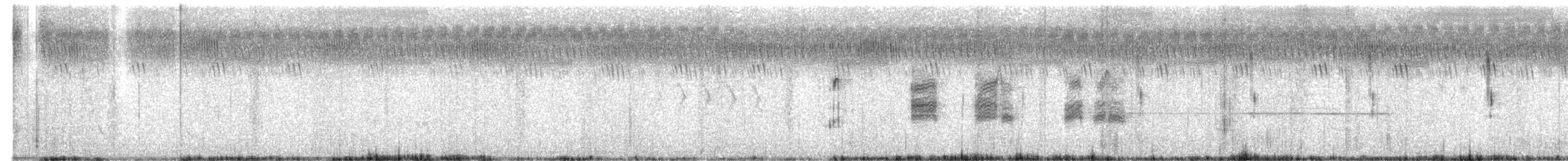 Black Francolin - ML619930253