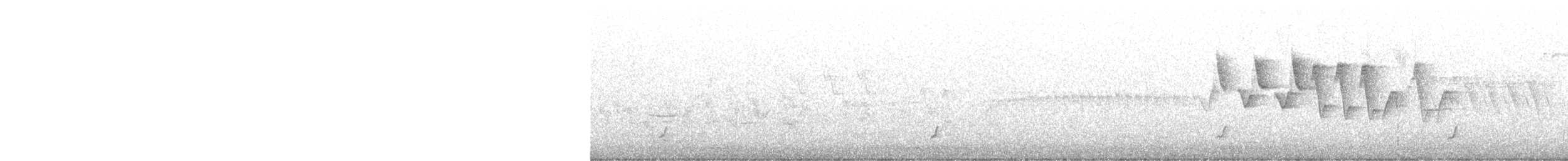 Дрізд-короткодзьоб Cвенсона - ML619930494