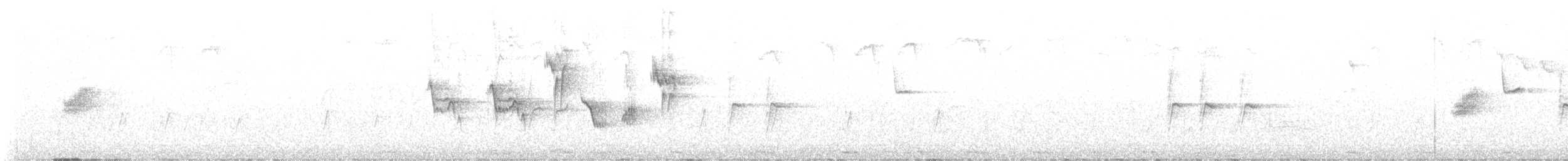 svarthvit fluesnapper - ML619934188