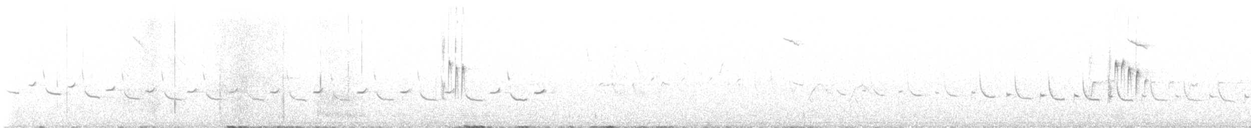 Batılı Kara Kulaklı Kuyrukkakan - ML619934382