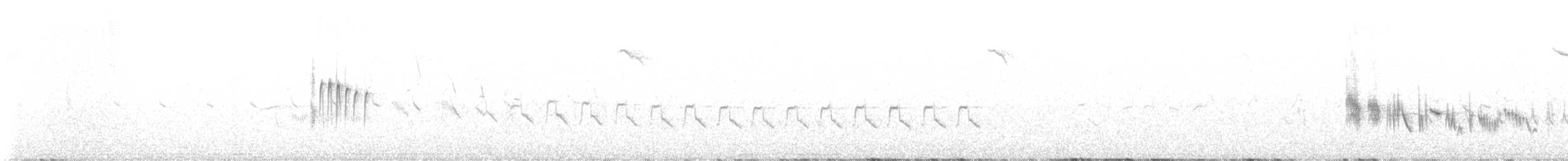Batılı Kara Kulaklı Kuyrukkakan - ML619934383