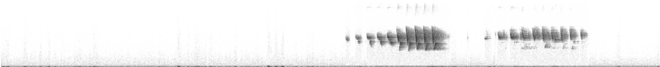 Paruline à calotte noire - ML619934533