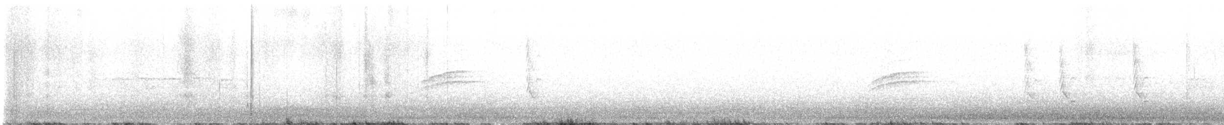 Дрізд-короткодзьоб плямистоволий - ML619934802