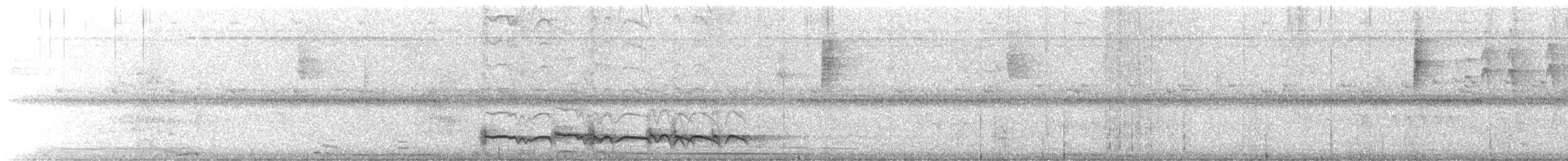 Kaatinga Pufkuşu (maculatus) - ML619935188