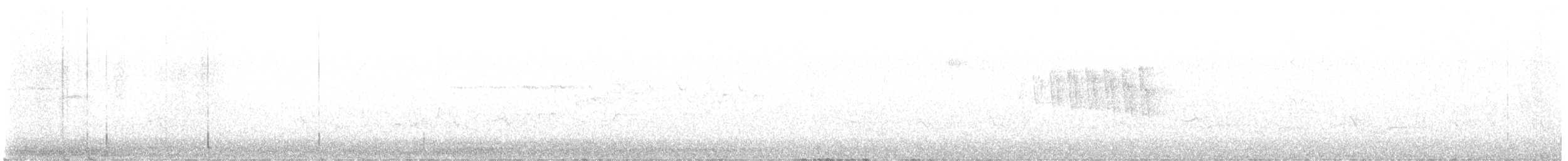 Paruline à calotte noire - ML619935219