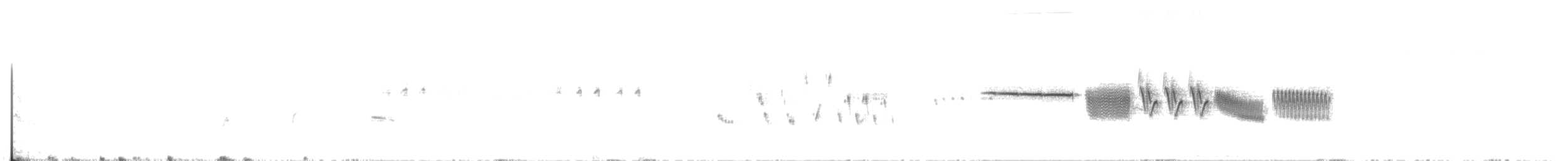 Bruant à couronne blanche - ML619935443