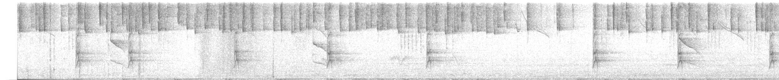 Белоухий колибри - ML619935495