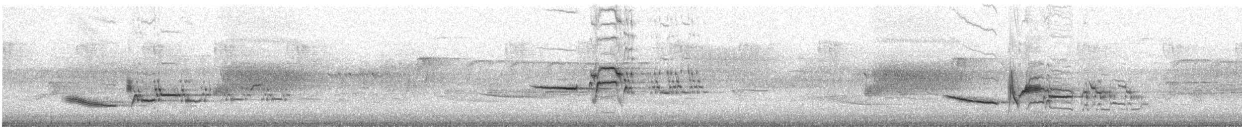 Hermit Thrush - ML619935584