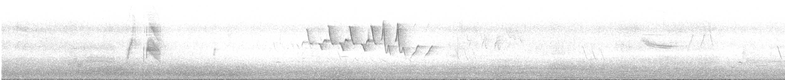 vierempid - ML619936008