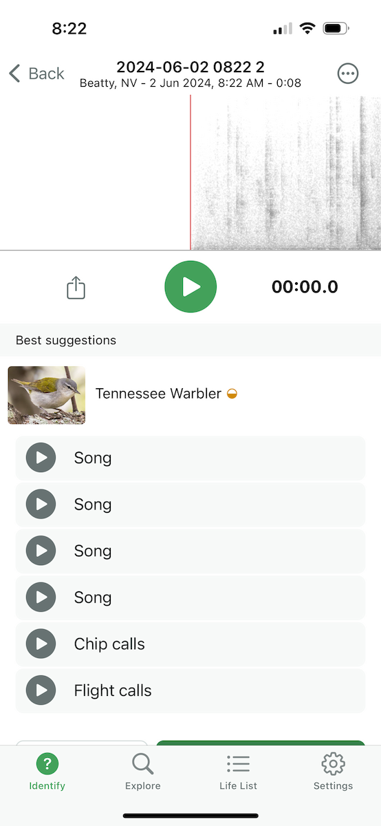 Tennessee Warbler - ML619936288