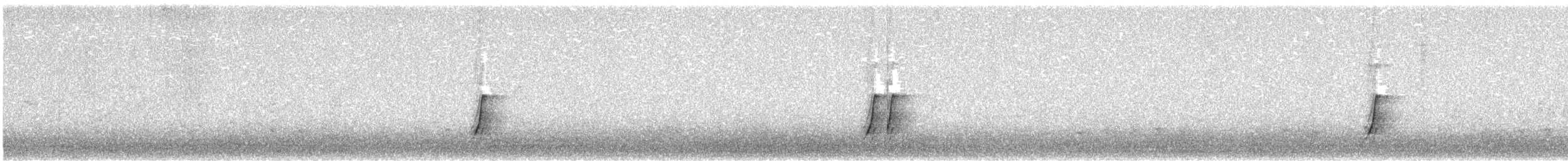 斑胸秧雞 - ML619936448