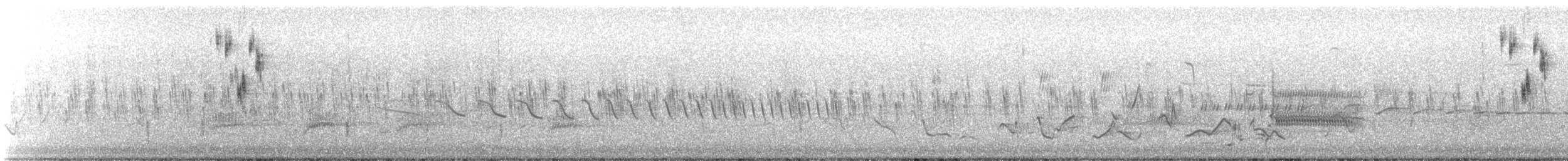 Bruant de Henslow - ML619936813