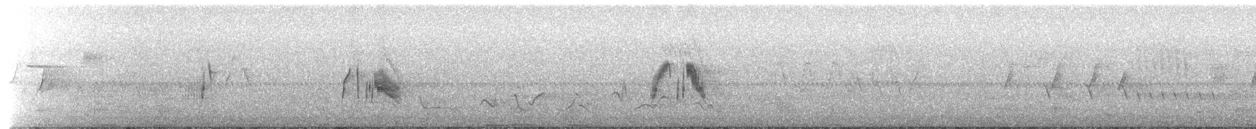 Moucherolle des saules - ML619937186