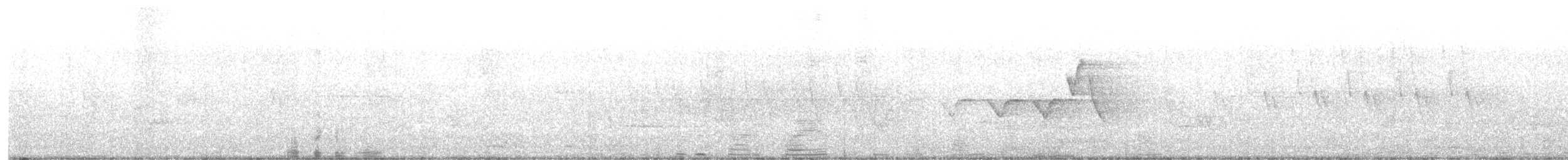 Hooded Warbler - ML619937894