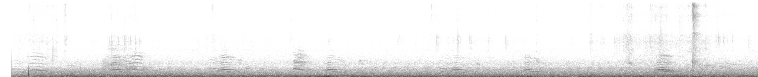 Great Black-backed Gull - ML619938579