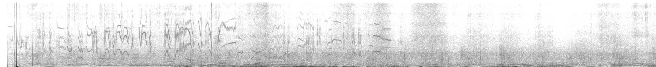 Цагаан хөмсөгт хөөндэй - ML619938614