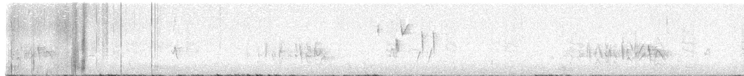 Vireo de Bell (arizonae) - ML619941122