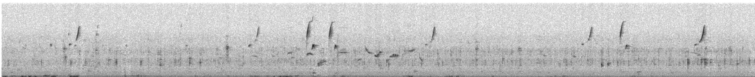 Nilgiri Pipit - ML619941176