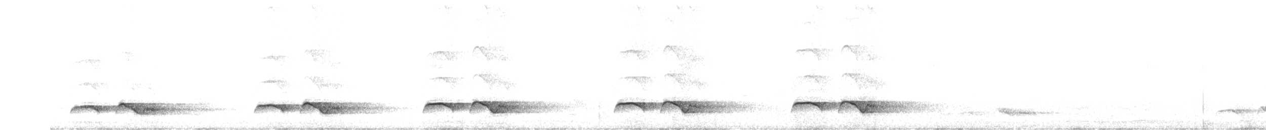 Зозуля білогорла - ML619941537