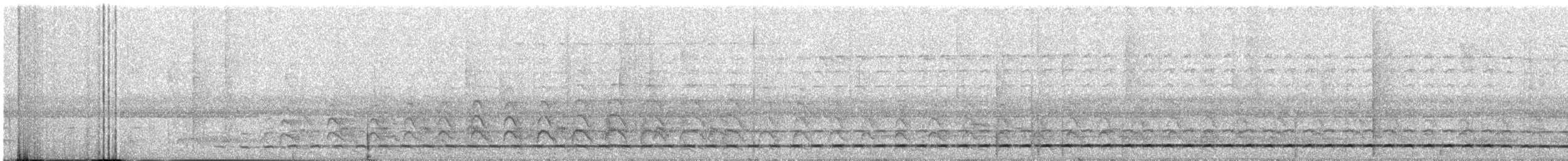 Streifenbrust-Ameisendrossel - ML619941954