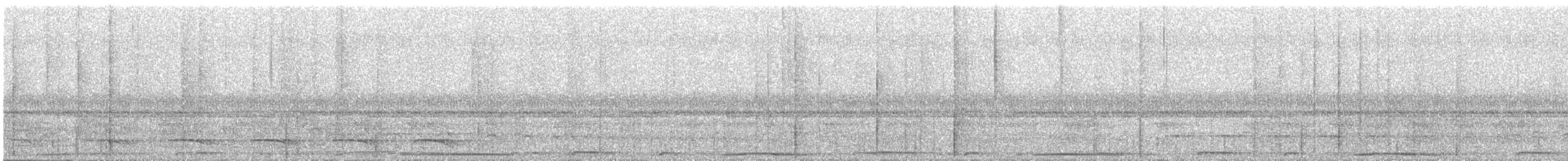 Streifenbrust-Ameisendrossel - ML619941956