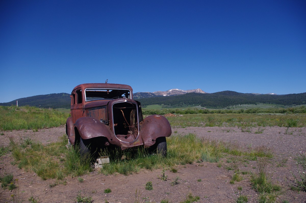 Mountain Bluebird - ML619943246