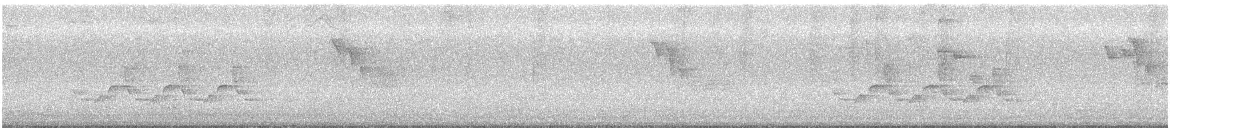 Каролинский крапивник - ML619946460