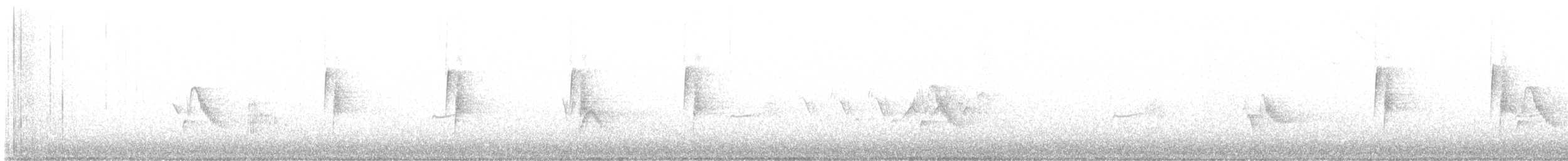 Küçük Boreal Sinekkapan - ML619948240