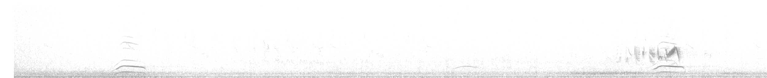 svartbukvaktel - ML619950354
